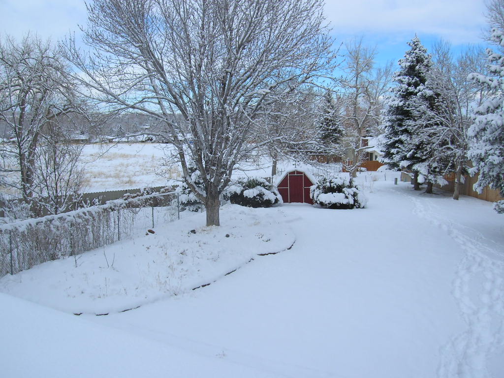 My snowshoe tracks through my backyard to the reservoir