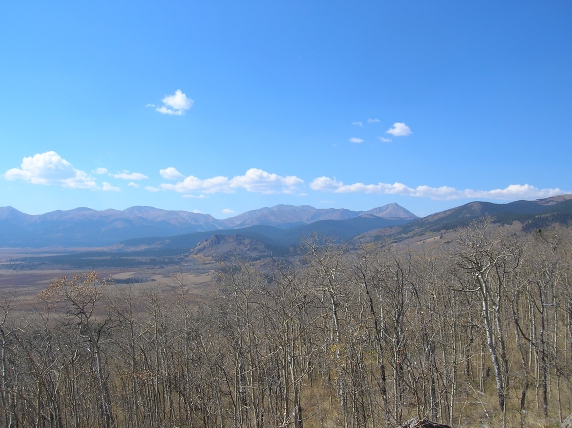 Mountain range in the distance with barren aspen trees in the foreground